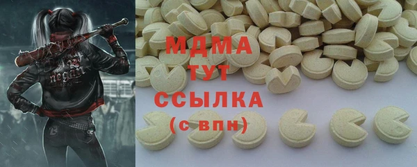 прущие грибы Беломорск