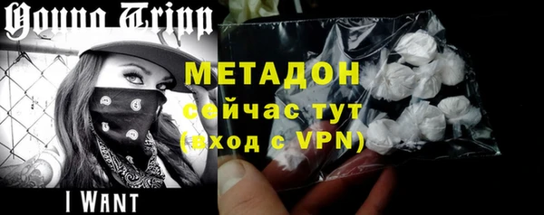 прущие грибы Беломорск