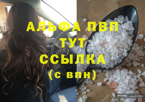 PSILOCYBIN Богородицк