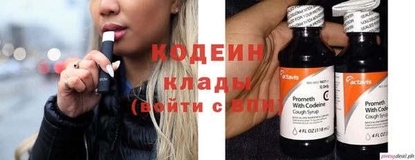прущие грибы Беломорск