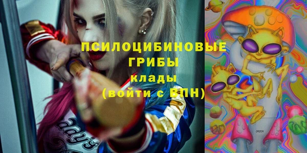 первитин Богданович