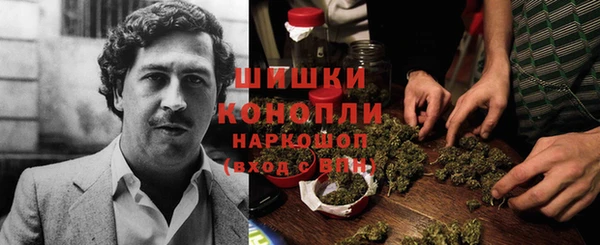 первитин Богданович